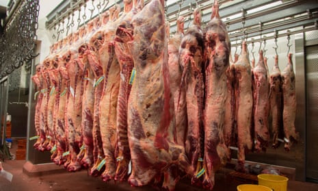 Why school trips to abattoirs are essential | Chas Newkey-Burden | The Guardian