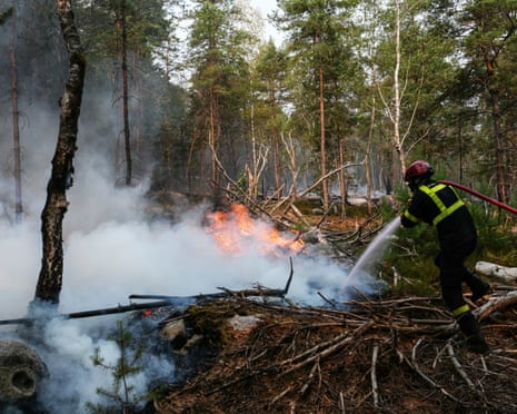 A firefighter operates during a fire in the Fontainebleau Forest, in Noisy-sur-Ecole, in the Paris' Ile-de-France region.