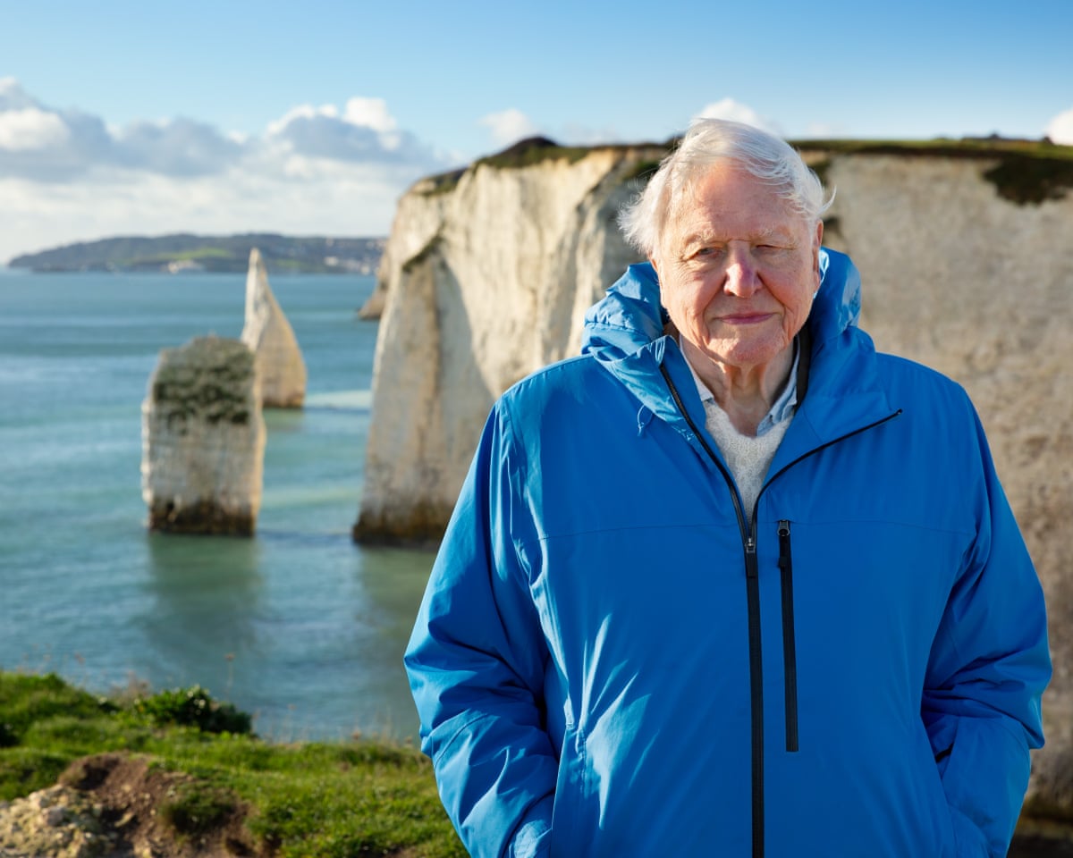 Attenborough's Ocean is the film I've been waiting my whole career for – now the world must act on its message | George Monbiot | The Guardian