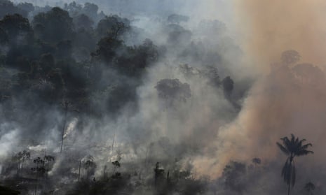 amazon rainforest deforestation brazil