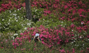 <strong>Augusta, US</strong> Hiding in the azaleas off the 10th fairway, a spectator takes photos during a practice round for the Masters golf tournament