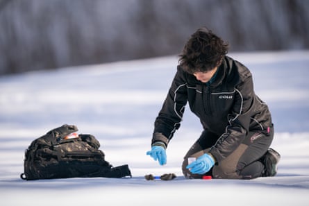Giulia Scartezzini, a PhD student at the University of Turin, collects wolf droppings for analysis.