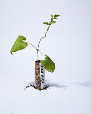 Seedlings in magazines in a project called Trend Forecast by photographer and director Catherine Losing.