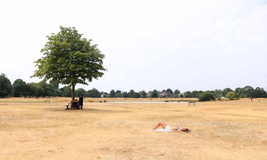 A woman sunbathes on the burnt dry grass on Wimbledon Common in London, caused by a prolonged summer heatwave, July 2918