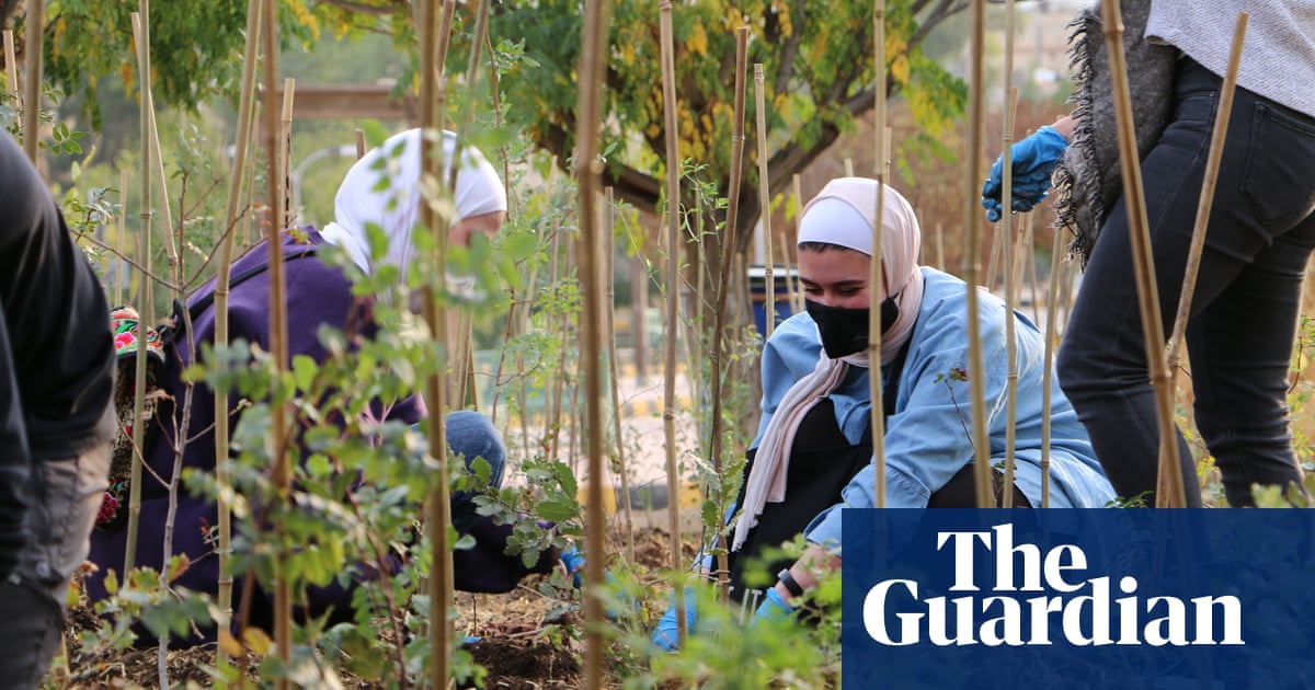 Guilt over her role in concreting the landscape led Deema Assaf to set up Tayyun, dedicated to reforesting one of the world’s most arid countries W 