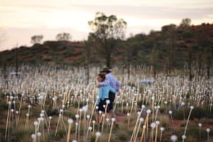 Field Of Light Magical Installation At Uluru In Pictures Australia News The Guardian