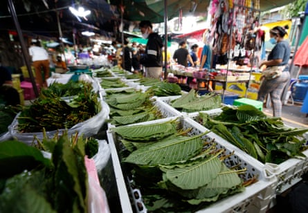 Trays full of green leaves for sale in a street market in Thailand