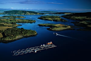 Salmon farm near Mechuque in the Chauques Islands, Chile