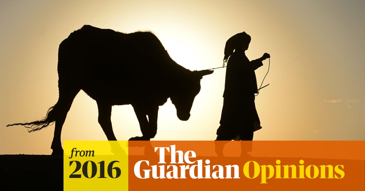 Veganism is not the key to sustainable development – natural resources are  vital | Jimmy Smith | The Guardian