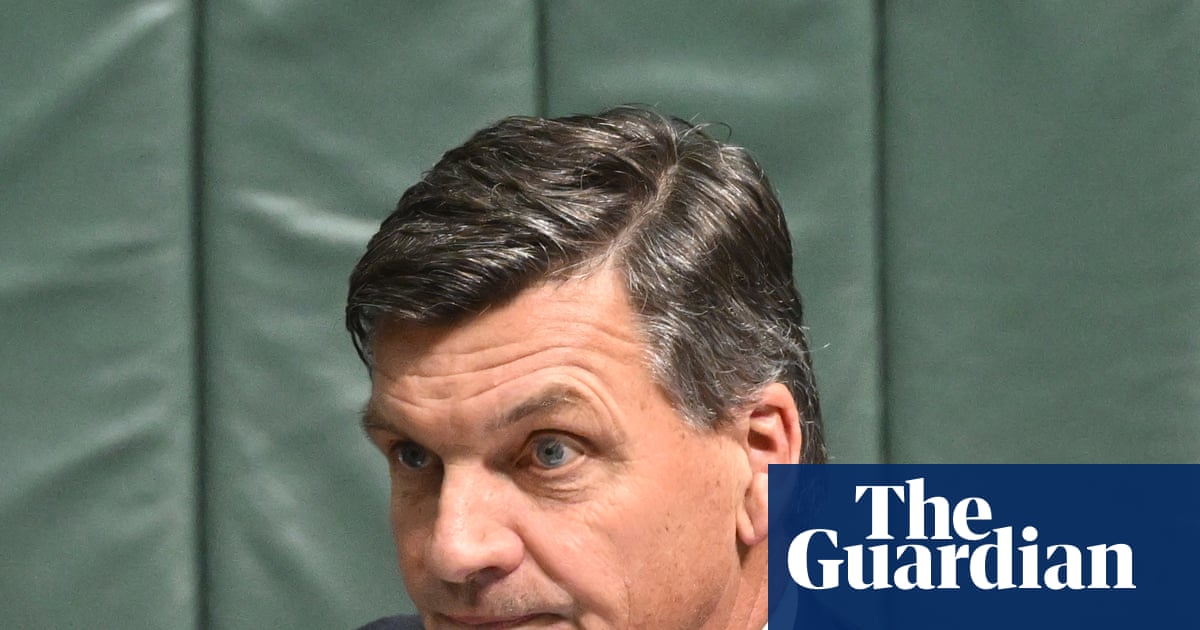 Liberals dumbfounded by Angus Taylor’s multiculturalism comments: ‘Embrace the reality of modern Australia’