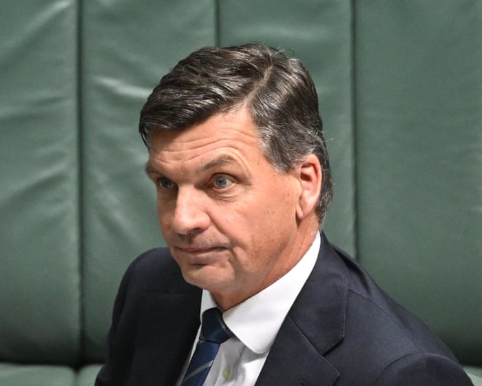 Liberals dumbfounded by Angus Taylor’s multiculturalism comments: ‘Embrace the reality of modern Australia’