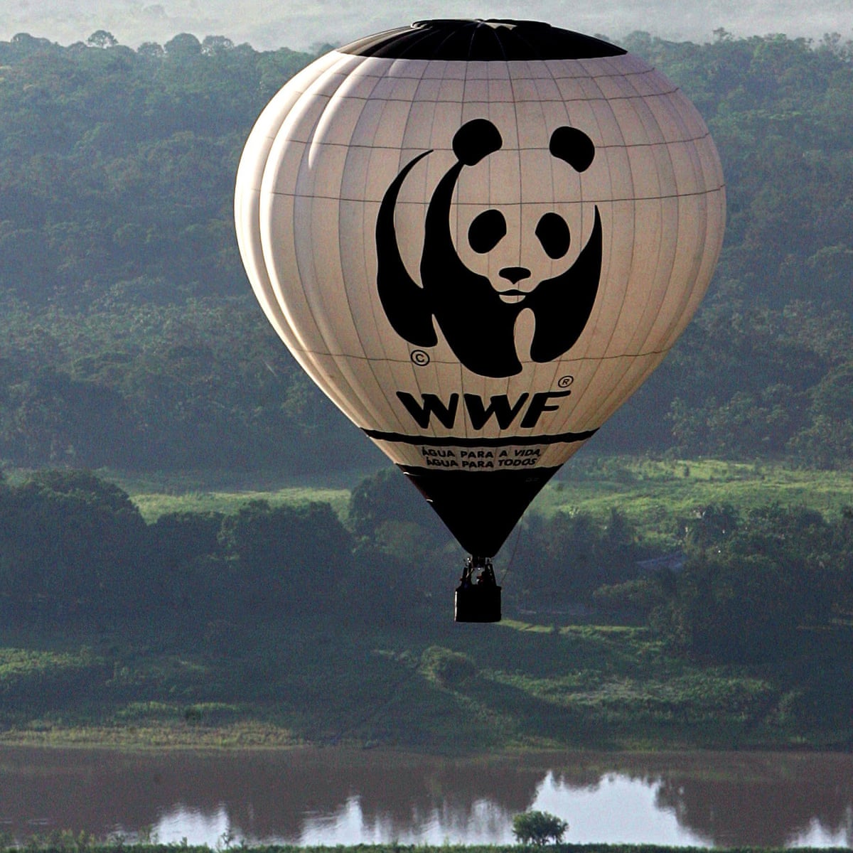 Has Wwf S Mission To Combat Nature S Enemy Gone Too Far Deborah Doane The Guardian Has Wwf S Mission To Combat Nature S Enemy Gone Too Far Deborah Doane The Guardian