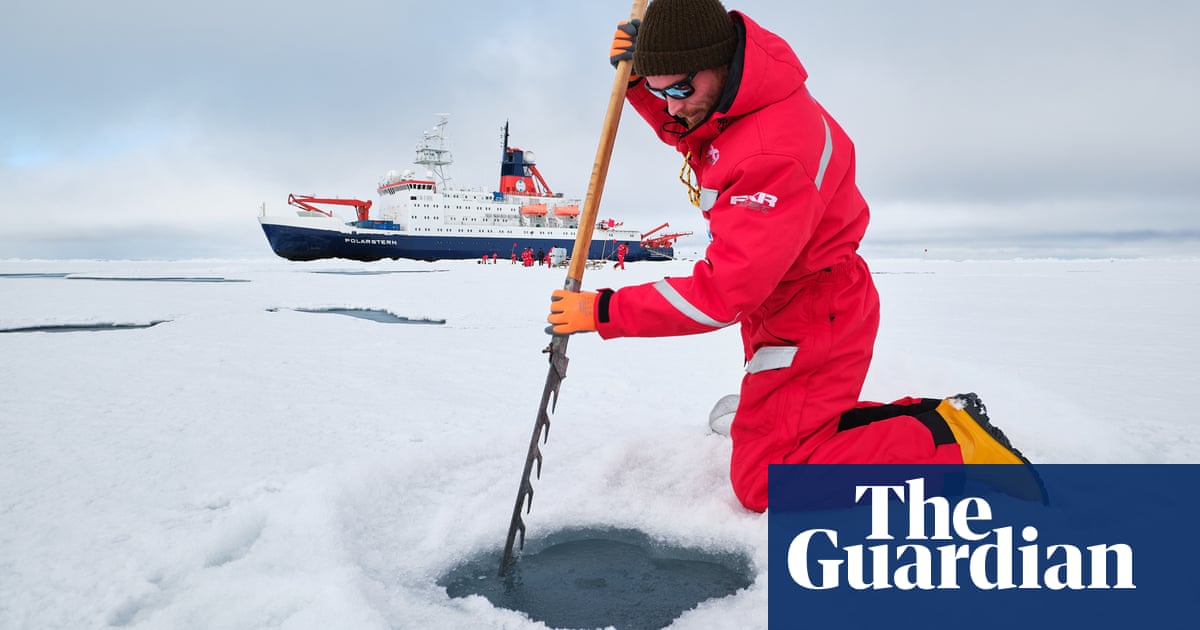 ‘Spoon worms lick the seabed with a metre-long tongue’: a voyage into a vanishing Arctic world | Arctic | The GuardianBack to homepage