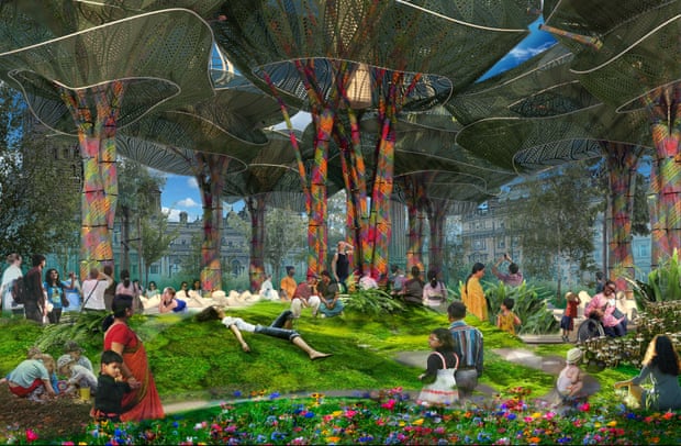 Birmingham to bloom into ‘magical’ lawn with 11-metre bushes | Birmingham Birmingham to bloom into ‘magical’ lawn with 11-metre bushes | Birmingham