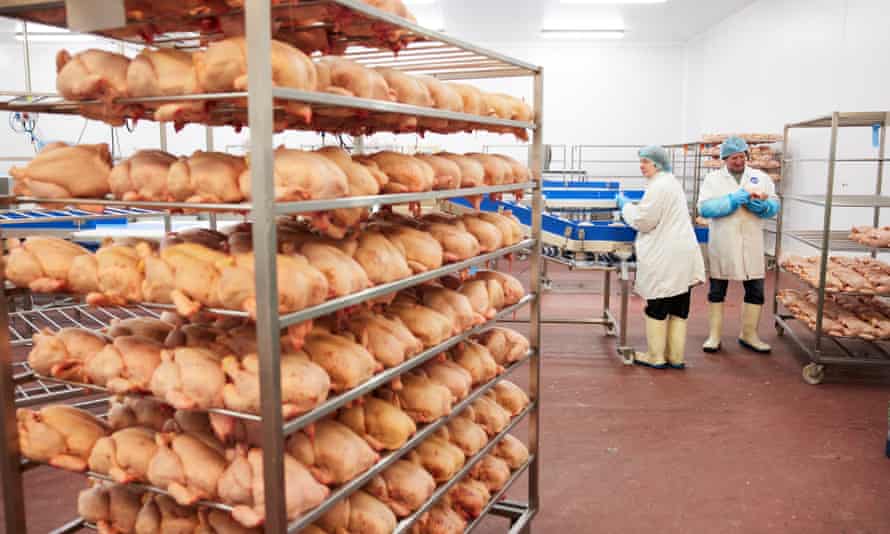 Plucked turkeys stacked on trolleys at the Bailey plant in Knutsford.