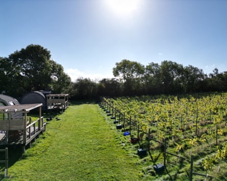 Vineyard & Glamping, Nottingham