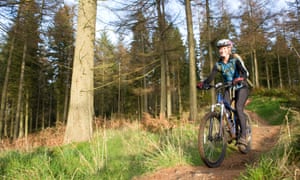 A female mountain biker riding in a forest
