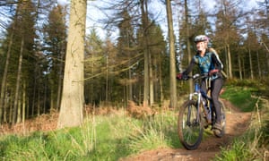 A female mountain biker riding in a forest A female mountain biker riding in a forest