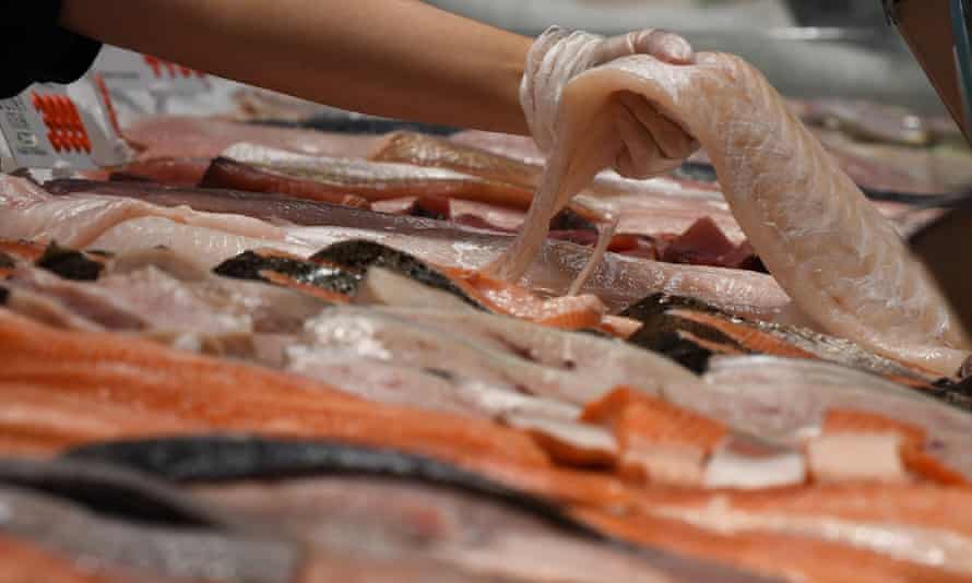 Seafood being sold at the Sydney Fish Market
