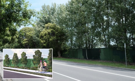 About 250 trees on Queens Avenue in Caulfield South are set to be cut down to make way for a kilometre-long bike path (inset).