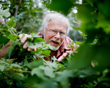 A man with grey hair peeking through leafage.