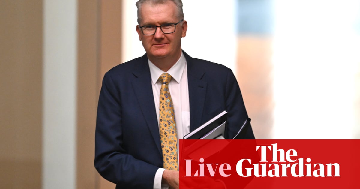 Australia politics live: Labor lines up trio of immigration bills dubbed 'cruelty package' by activists; Assange supporters push for pardon