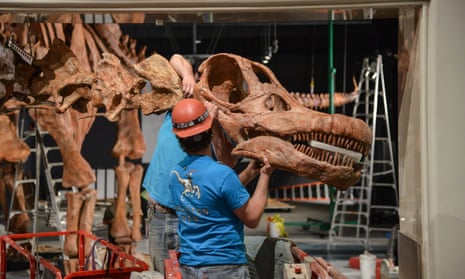 Technicians install the Titanosaur cast in the Miriam and Ira D Wallach Orientation Center at the American Museum of Natural History in New York. 