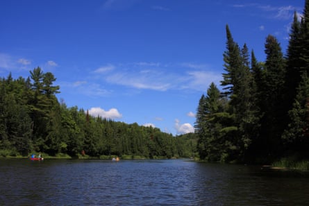 A river under blue sky and surrounded by trees