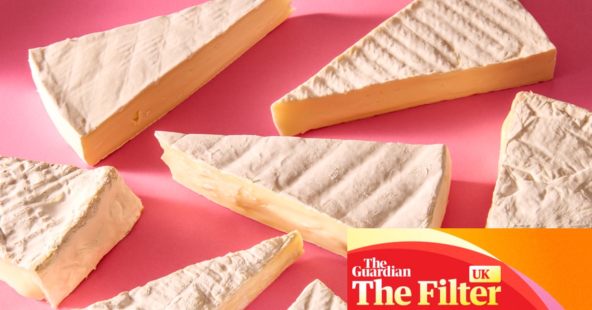 ‘Se derrite en una masa viscosa’: el mejor brie de supermercado, probado y valorado | Pinrel ‘Se derrite en una masa viscosa’: el mejor brie de supermercado, probado y valorado | Pinrel