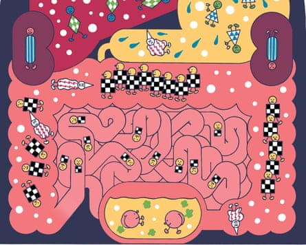 An illustration of the gut microbiome