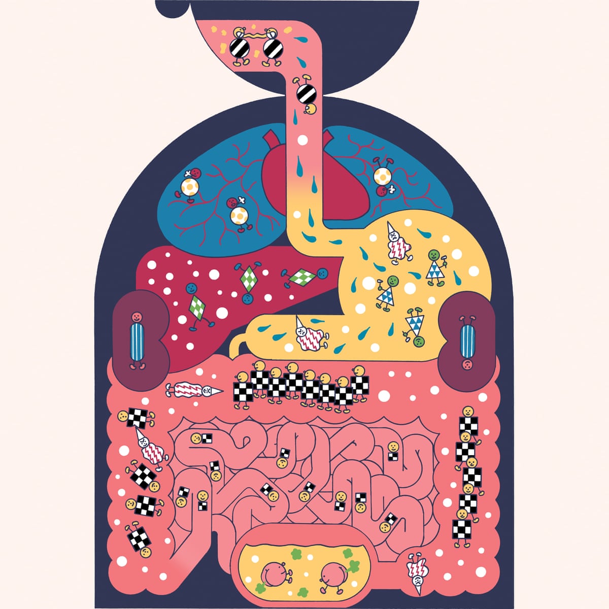 The human microbiome: why our microbes could be key to our ...