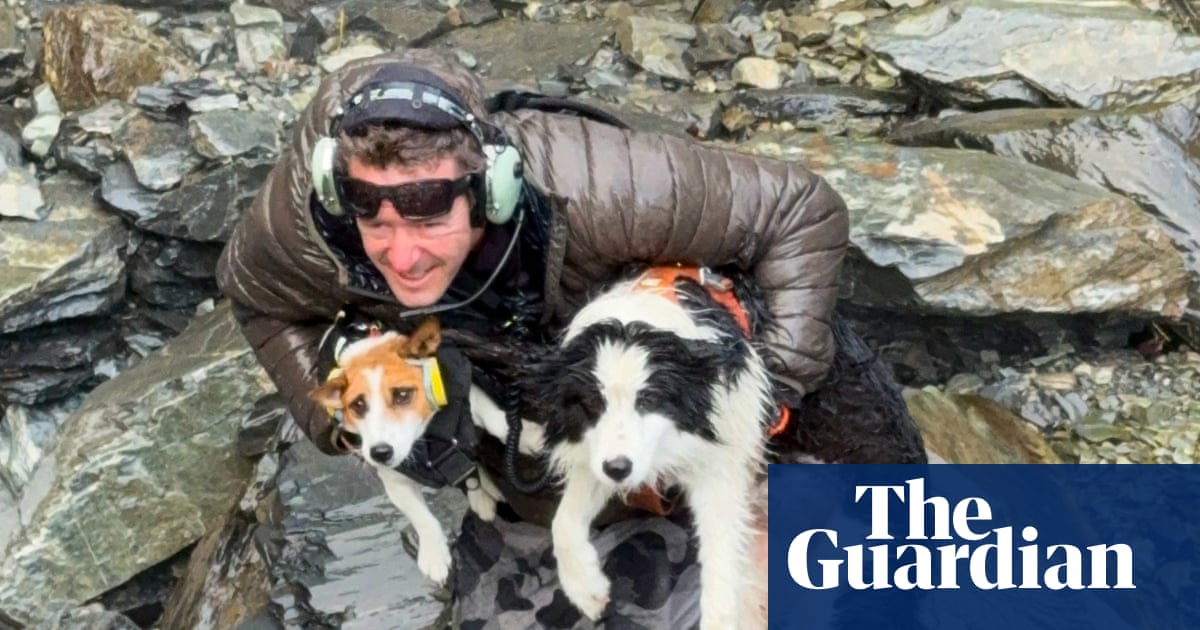 Molly the border collie rescued after a week waiting for injured owner in New Zealand’s remote backcountry