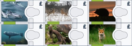 Banknote designs.