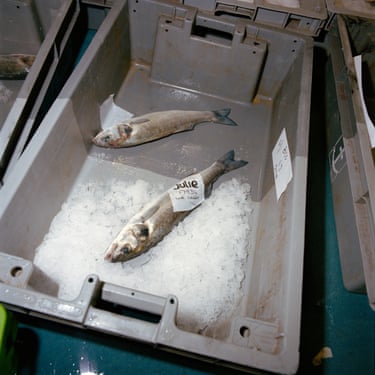 cornish fish boxes newlyn Original or Vintage: Gift Box & #CANQUET Add-Ons CornishCanningCo Did you catch that? On