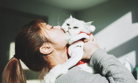 زن جوانی گربه سفیدش را روی صورتش بلند می کند و او را می بوسد.