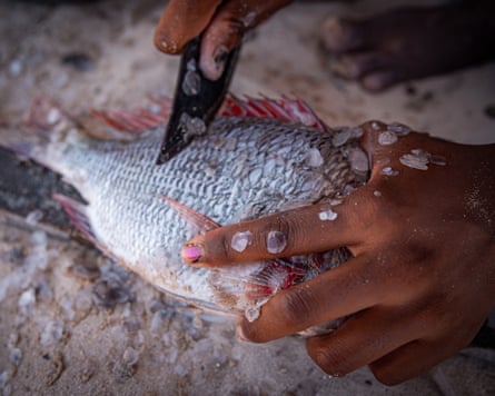 A woman's hands cleaning the scales from a fish with a knife