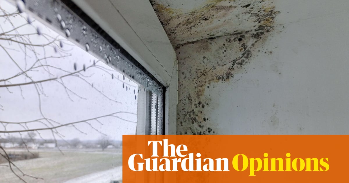 The Guardian view on social housing: invest boldly to tackle simmering anger' about substandard homes