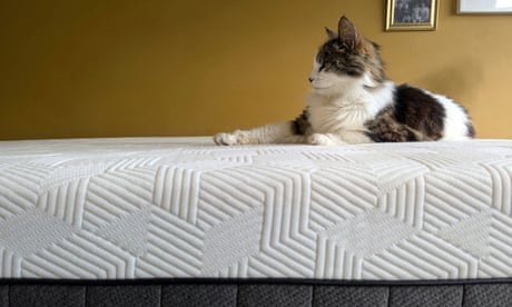 The best mattresses in 2026: sleep better with our 14 rigorously tested picks