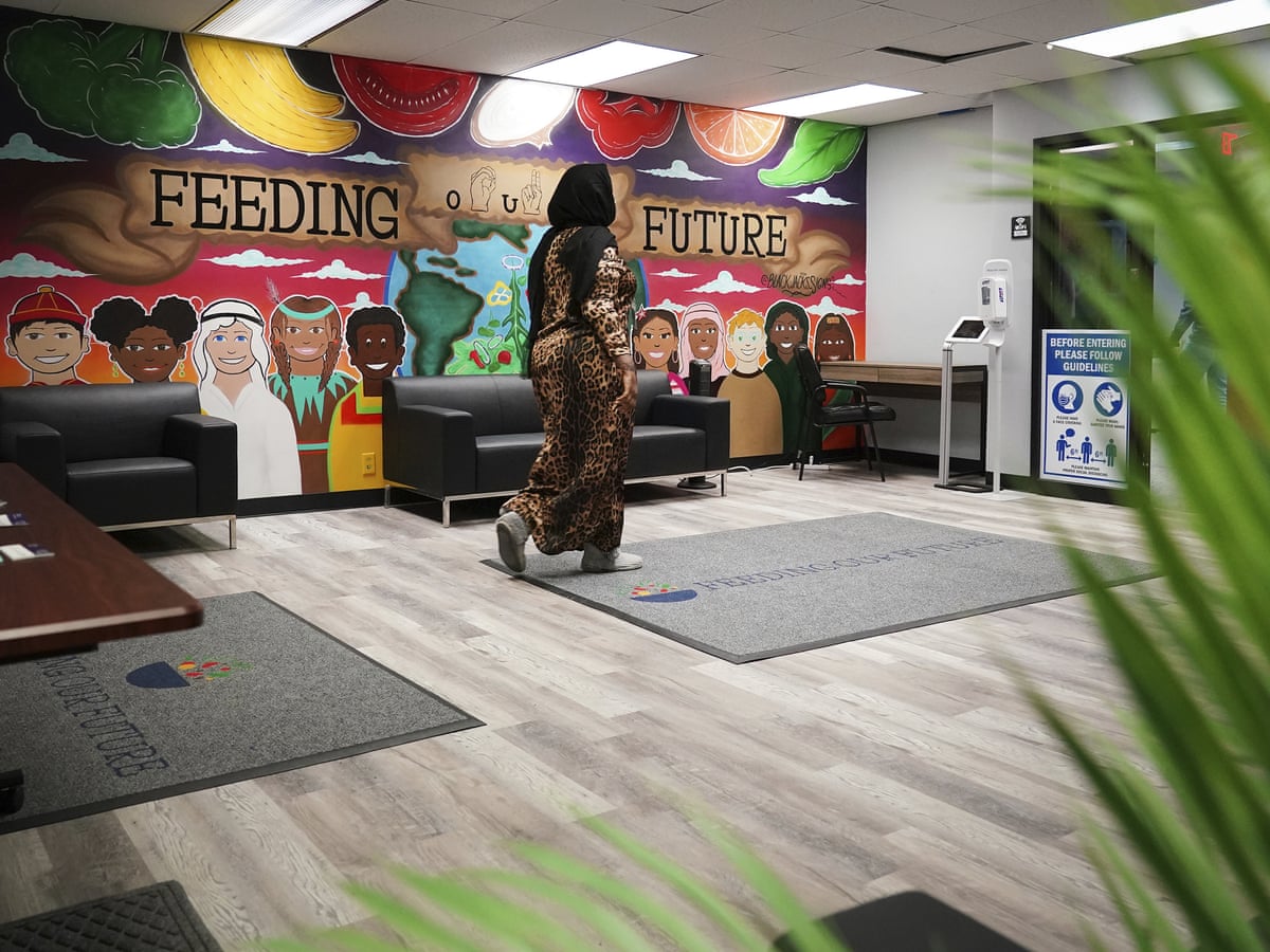 Minnesota schemers allegedly swindle $250m in largest pandemic fraud yet | US news | The Guardian