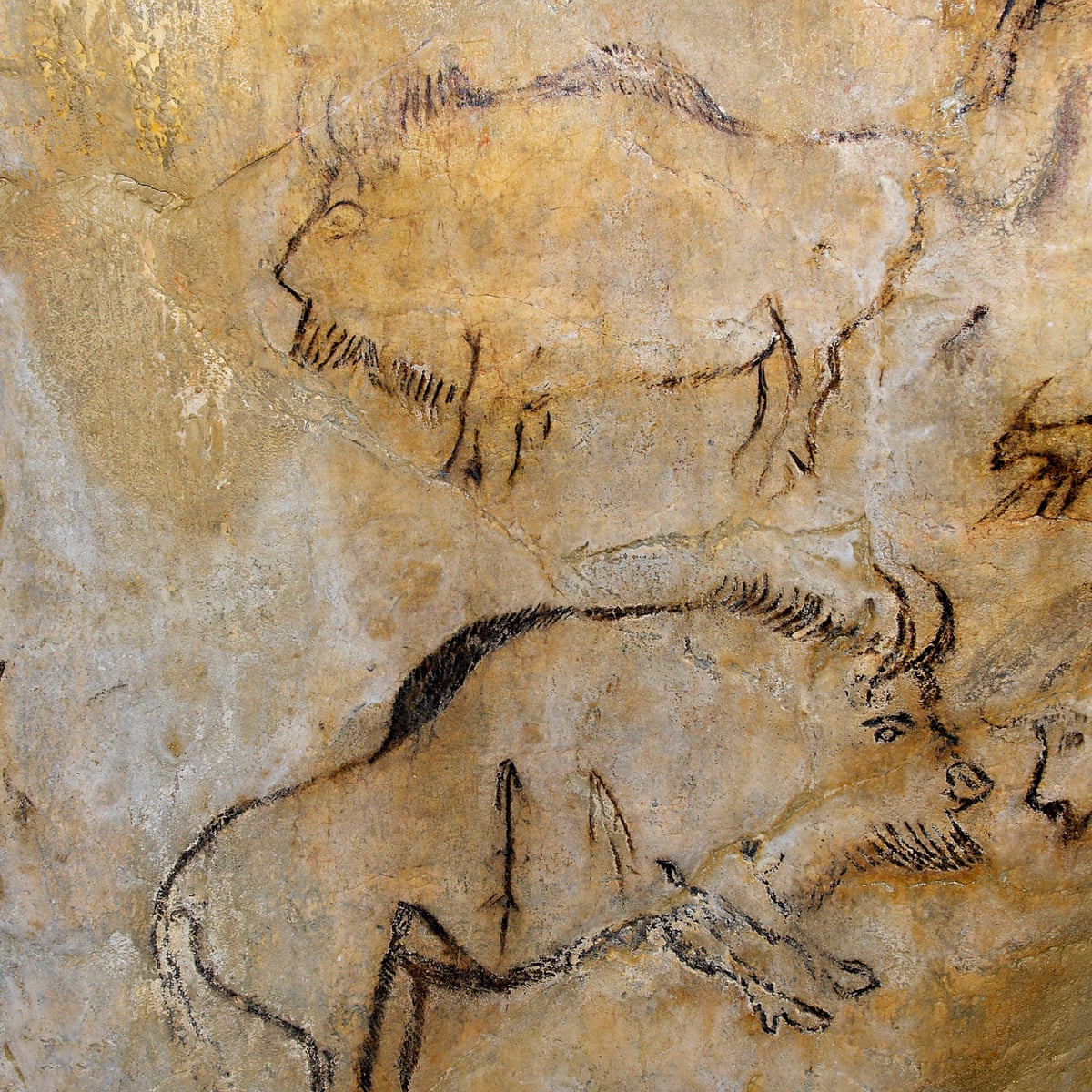 God Sex Or Evolution Why Did Humans Start Making Art Art And Design The Guardian God Sex Or Evolution Why Did Humans Start Making Art Art And Design The Guardian