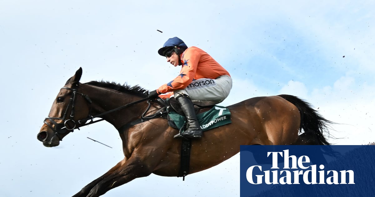 Cheltenham pulls plug on rest of season to fix home-straight drainage issues