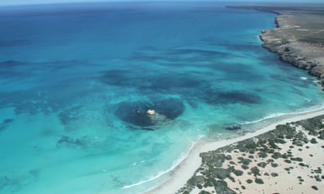 Great Australian Bight marine park