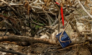 A book on freedom of expression hangs on a burnt tree at the scene of the murder.