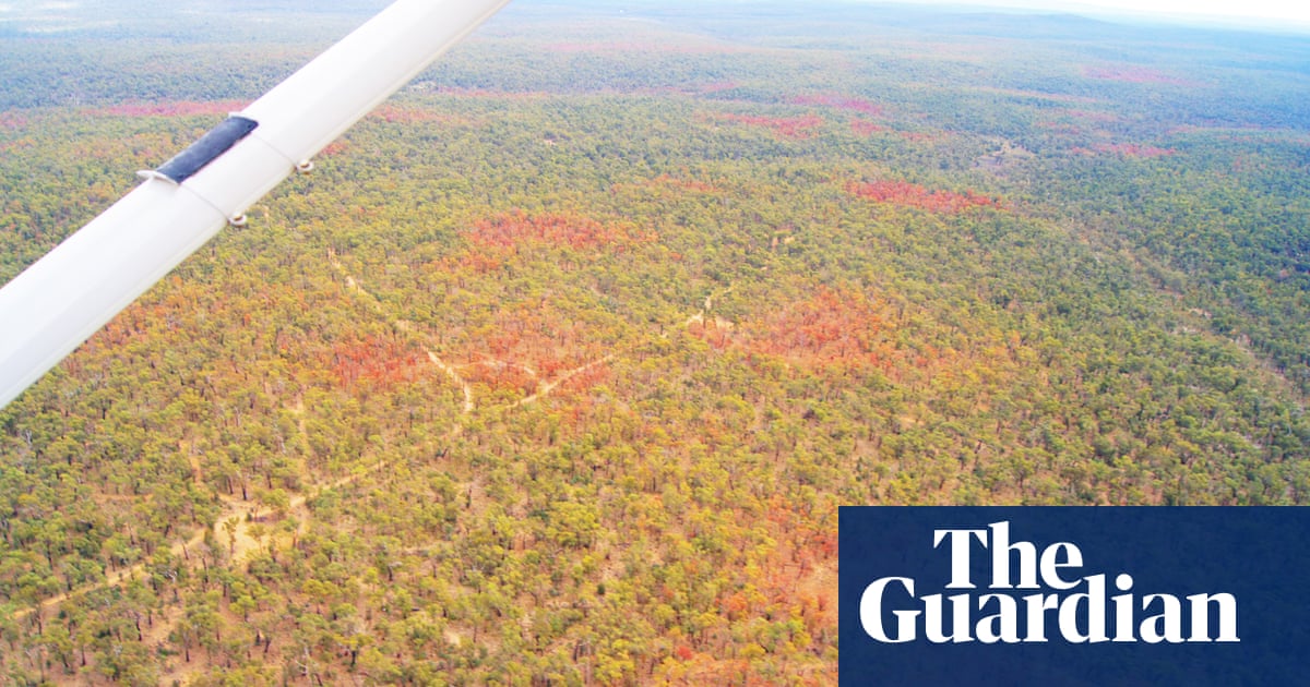 This is what climate change looks like in Australia in pictures Australia news The Guardian This is what climate change looks like in Australia in pictures Australia news The Guardian