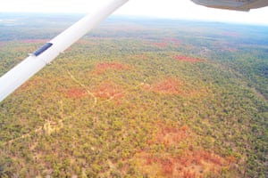 Drought and heatwaves in 2010-11 caused the death of 26% of mature trees in Jarrah forests in southwest Western Australia.