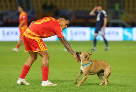 North Macedonia's Sebastian Herrera reacts to a dog on the pitch during the match.