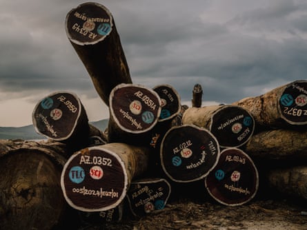 Cidades flutuantes de troncos: poderão os “pulmões de África” sobreviver à sua exploração?