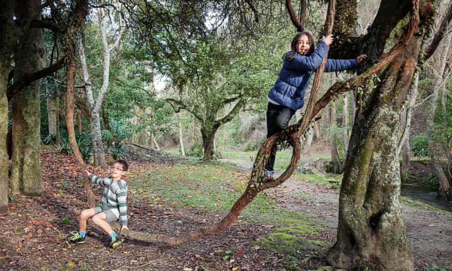 Children playing on a vine swing