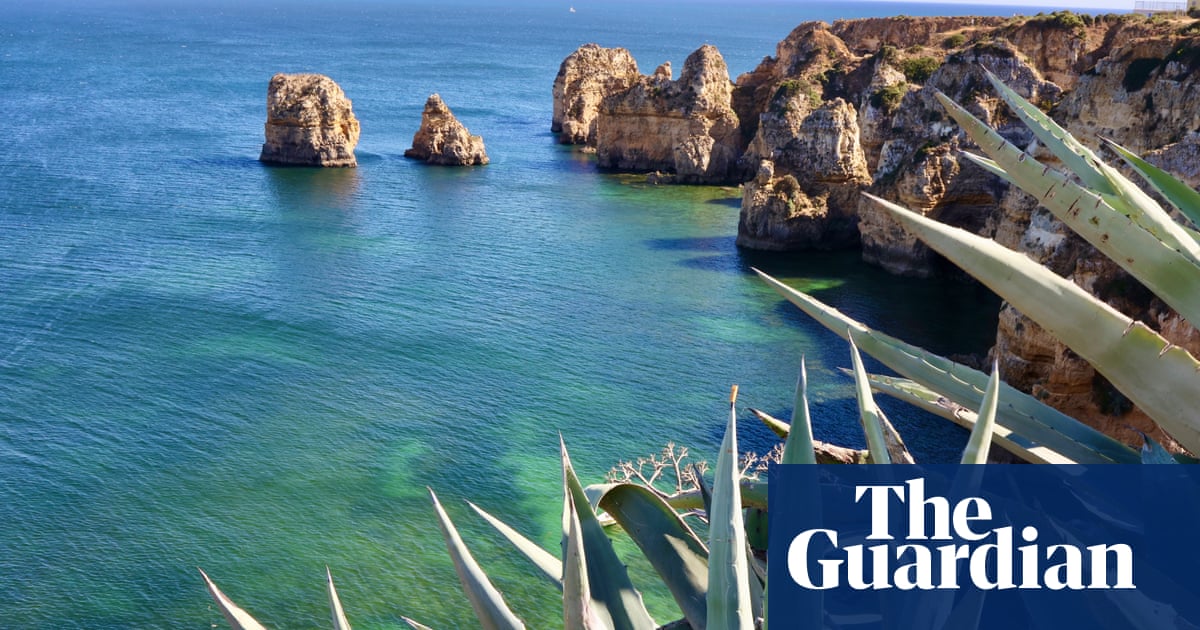 Blue sky, green sea and red tape: diving in the Algarve after lockdown