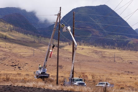 Invasive grasses that have replaced much of Hawaii’s native vegetation, setting the stage for wildfires.